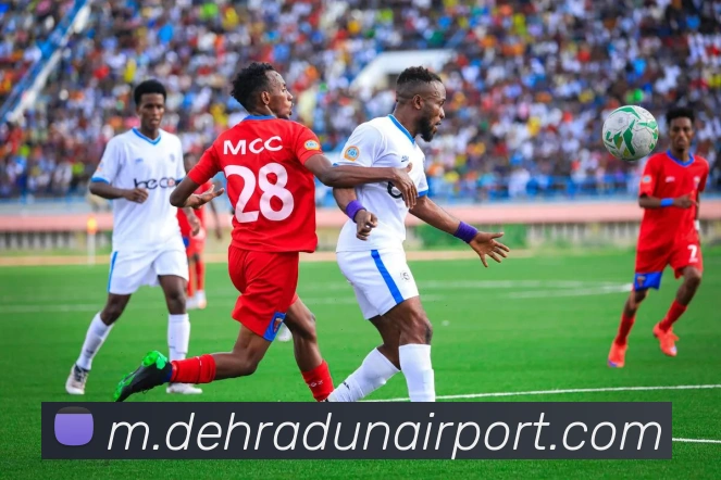 球速体育平台生态图